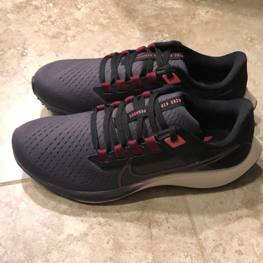 Brand new Nike Air Pegasus